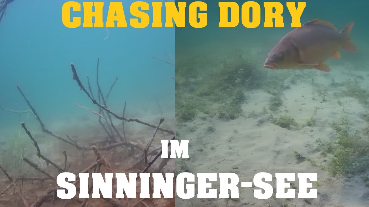 Chasing-Dory Unterwasserdrohne im Sinninger-See! | Mit WÜRMERN, großem HECHT und KARPFEN