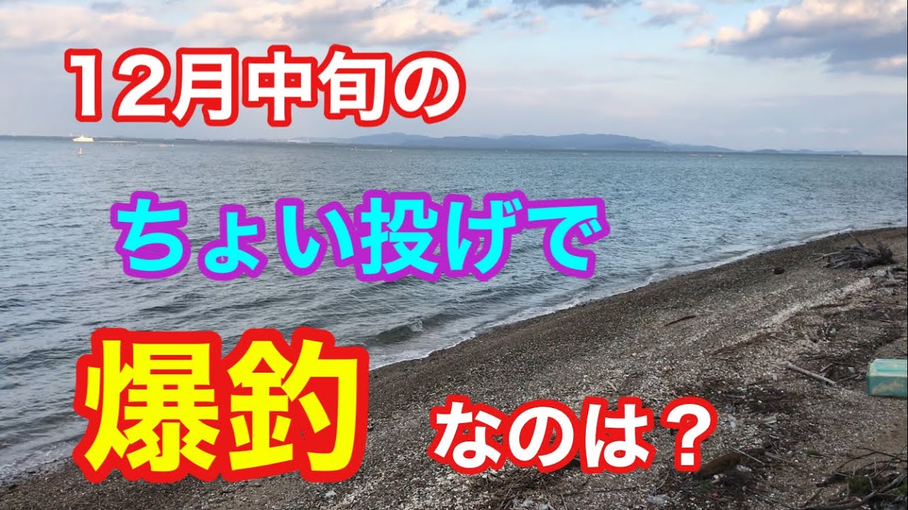 12月中旬の夕方のちょい投げで爆釣なのは？知多半島 知多湾