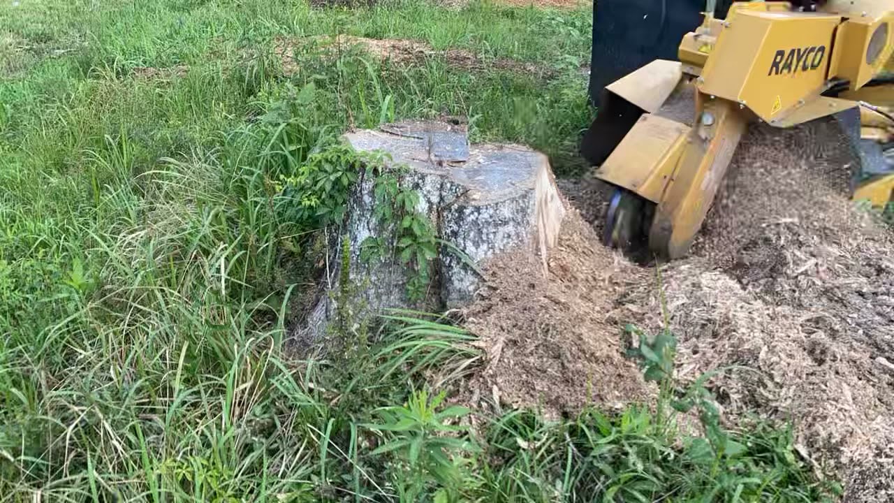Stump grinding time lapse