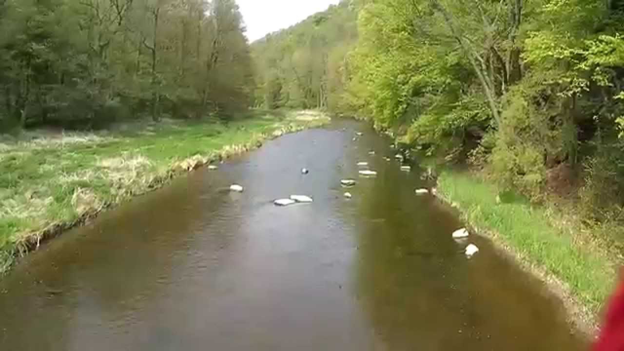 Údolím Oslavy a Chvojnice