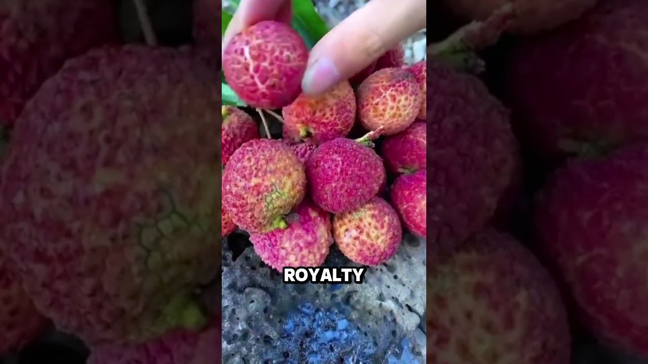 This Is Why People Are OBSESSED With Lychee! 🍒✨ 