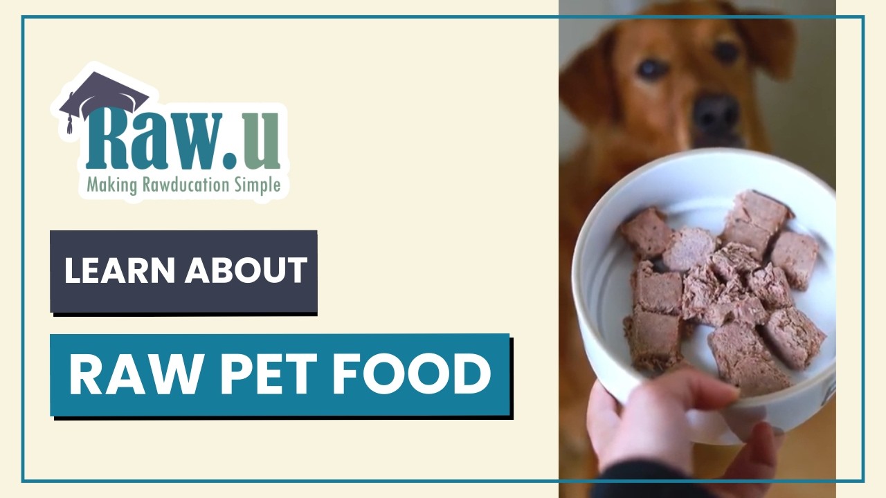 Intro to Raw.u: Learn About Raw Pet Food