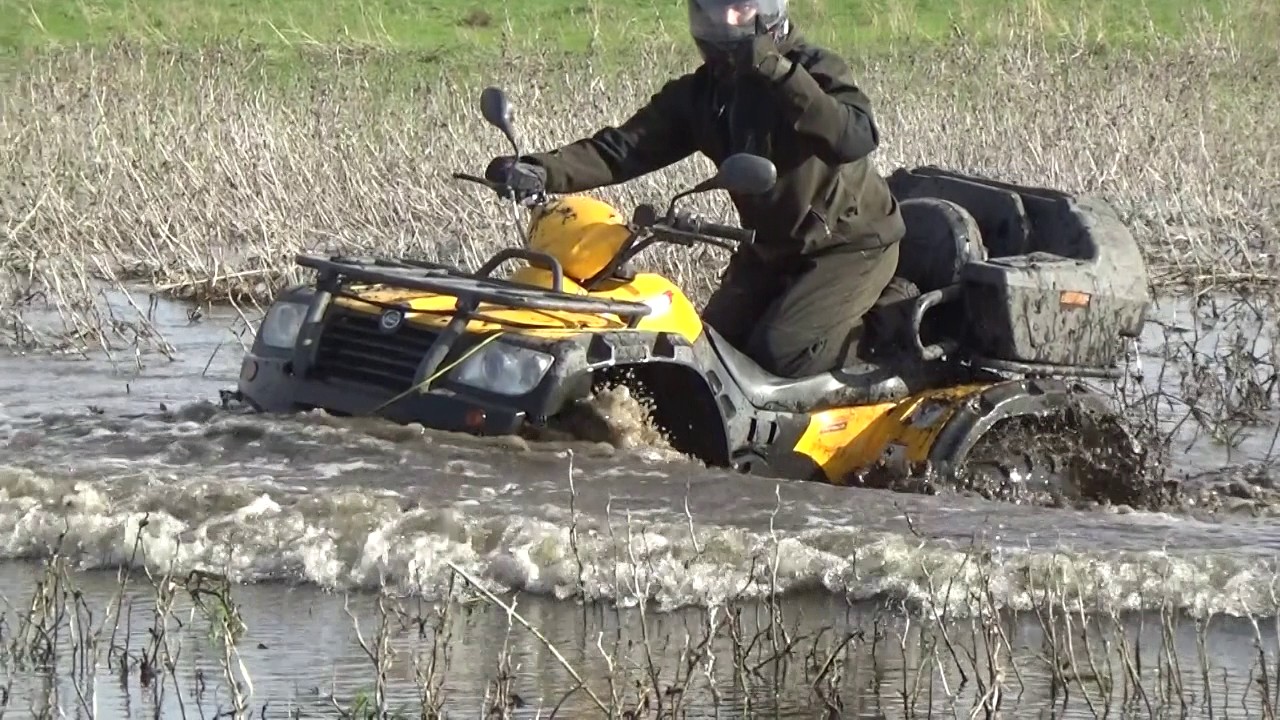 Весело было:)))