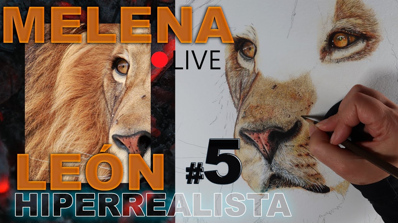 Cómo dibujar pelaje de animal HIPERREALISTA  con lápices de colores❓ MASTER CLASS PROYECTO LEÓN #5