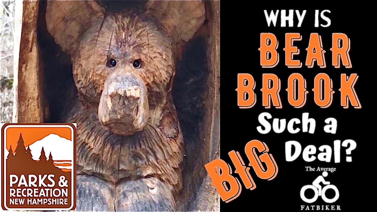 Why is Bear Brook such a BIG Deal?