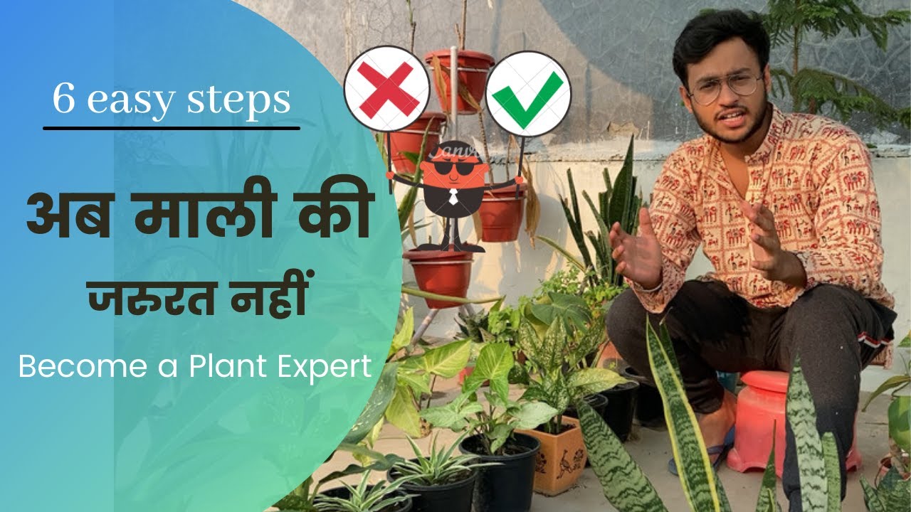 Become a PRO माली | Things your Gardener will not tell😵| Easy 6 steps to became a Plant Expert