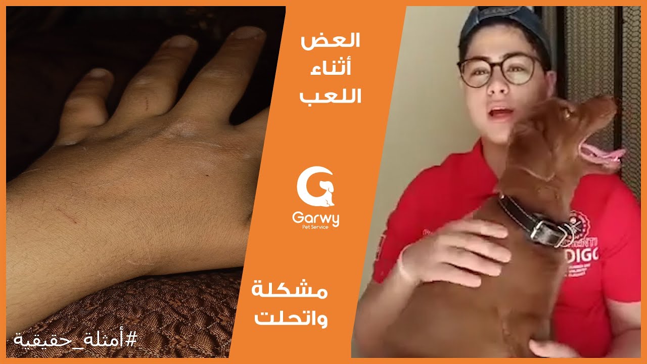 معاذ وكلبه بويكا اللي كان مبهدله عض - مشكلة واتحلت مع وصلة جروي