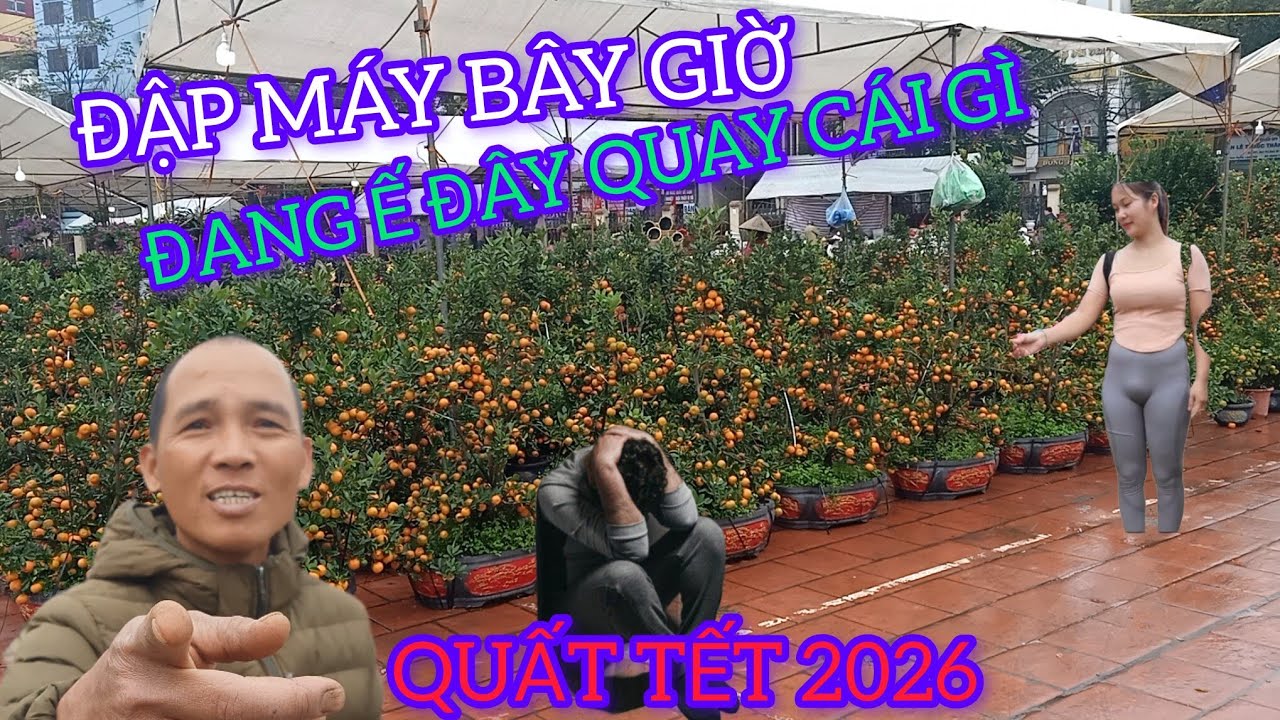 VỢ KHÔNG CHO ĐI BÁN CỨ CỖ TÌNH ĐI GIỜ KHÓC NHƯ TRẺ CON QUẤT TẾT 2026