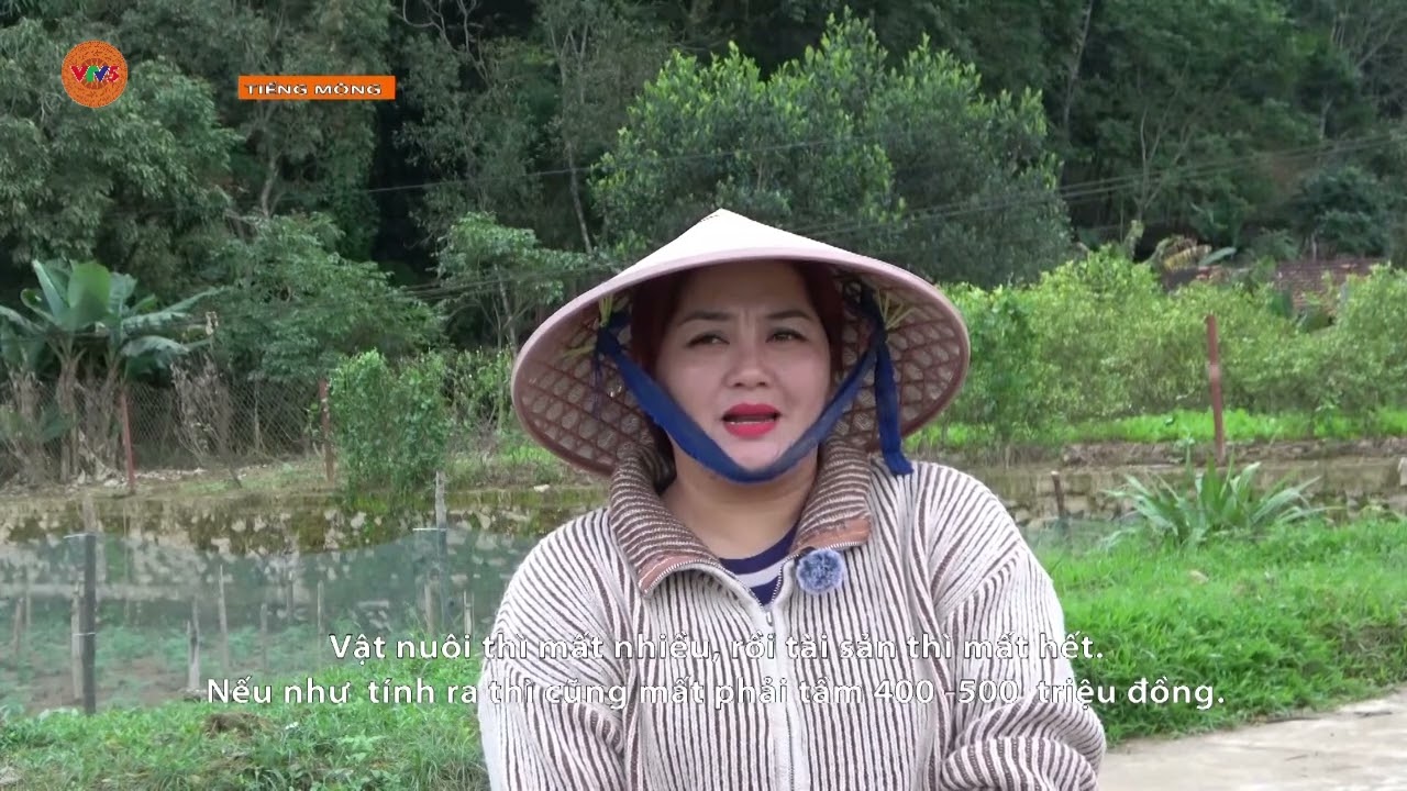 [TIẾNG MÔNG] NHỊP SỐNG HỒI SINH TRỞ LẠI TRÊN MẢNH ĐẤT CON CUÔNG | VTV5