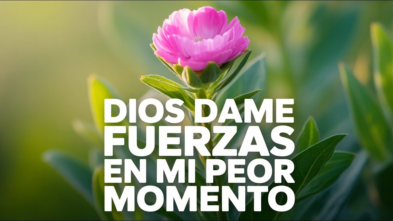 Señor, Sostén Mi Vida en Momentos de Dificultad | Oración Sagrada de Transformación Poderosa