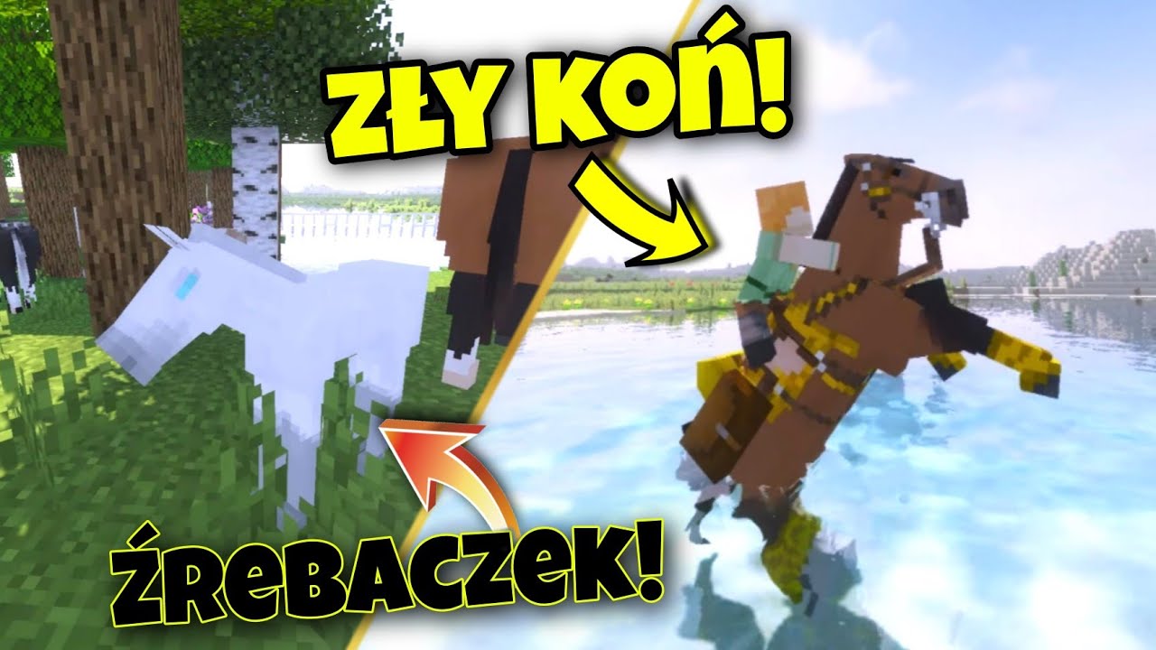 Moja hodowla źrebaków w Minecraft! Mod SWEM