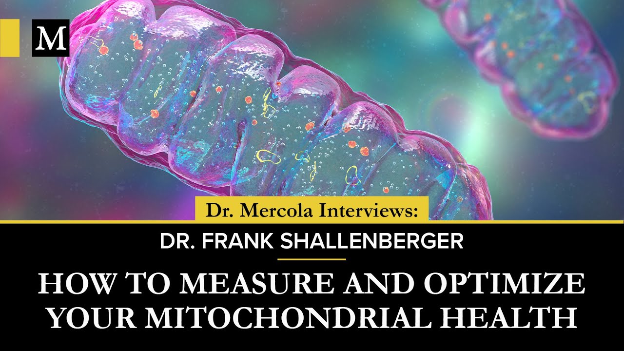 How to Measure and Optimize Your Mitochondrial Health &ndash; Interview With Dr. Frank Shallenberger