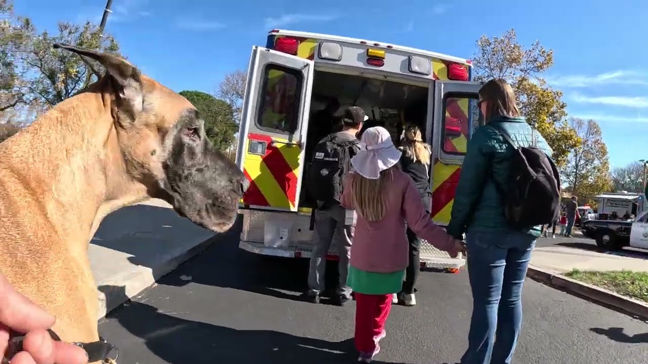 Cash 2.0 Great Dane at the Simi Valley Touch A Truck event 2023 (5 of 6)