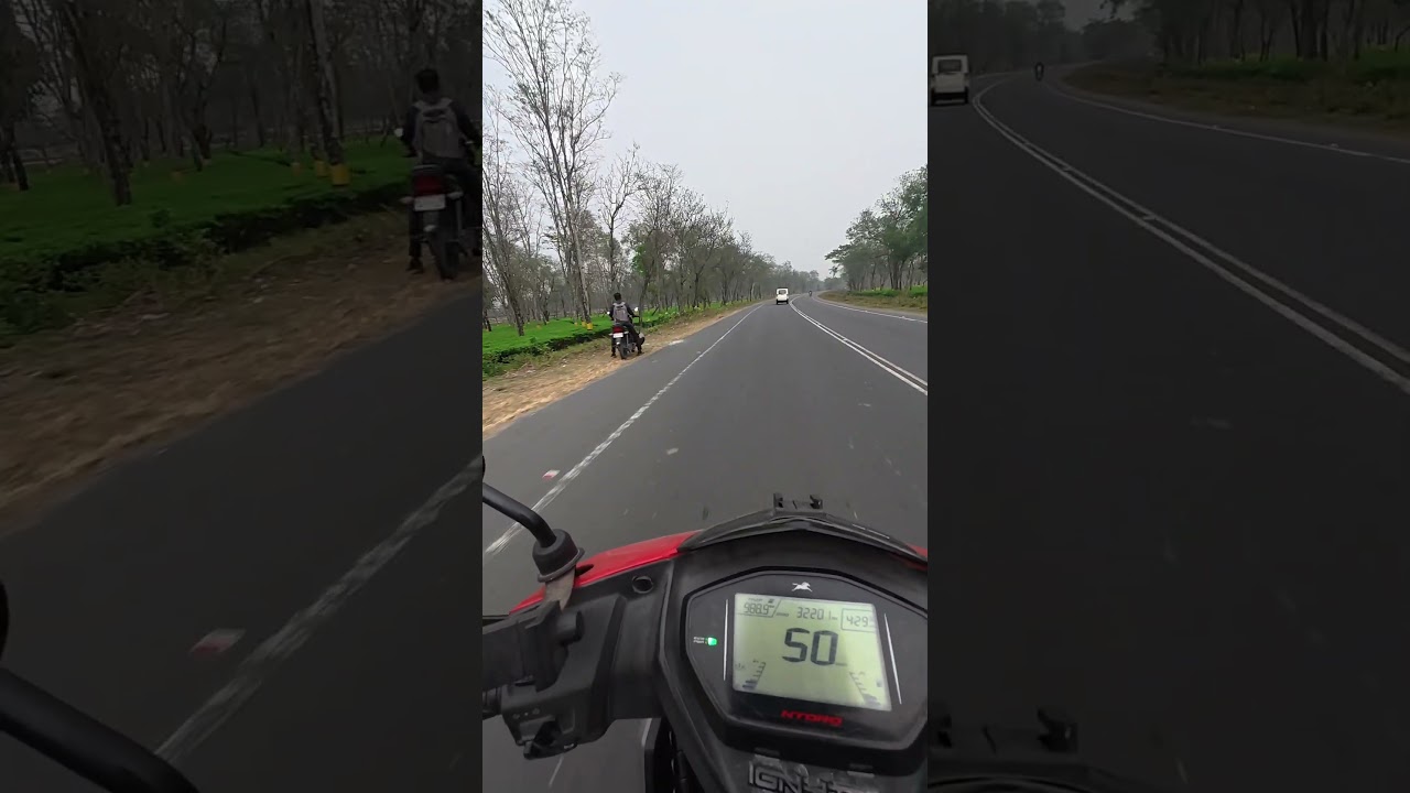 old song and green view