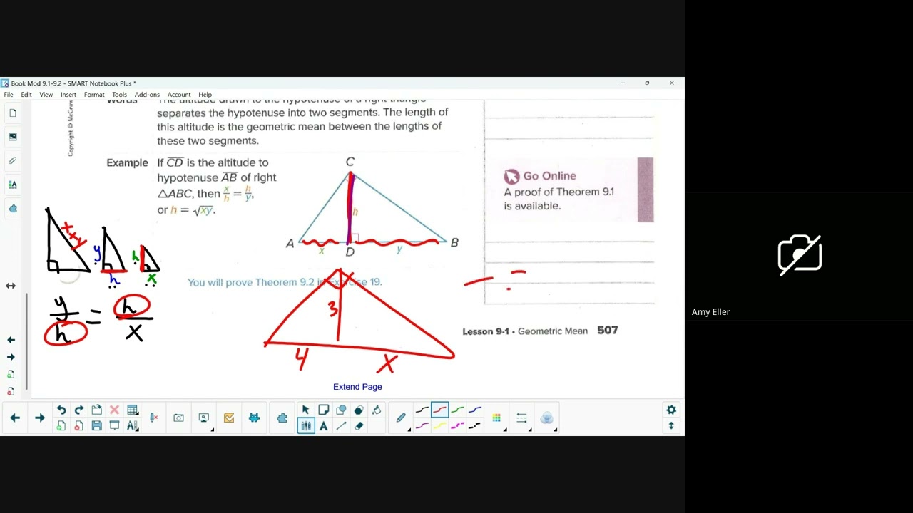 Geo 9.1