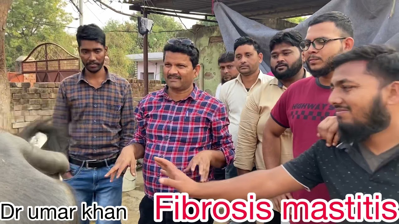 Treatment of fibrosis mastitis l Mastitis l calcarea flour l phytolacca l dr umar khan