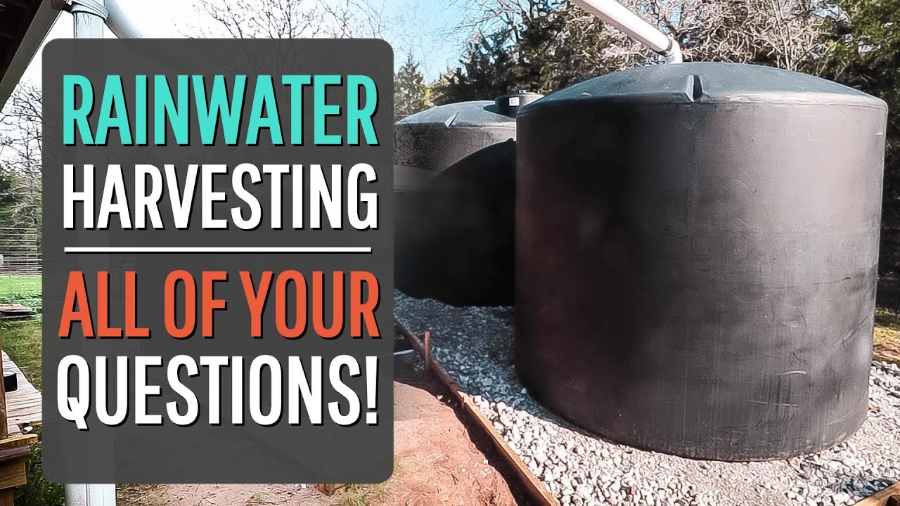 Rainwater Harvesting  {All YOUR Questions}