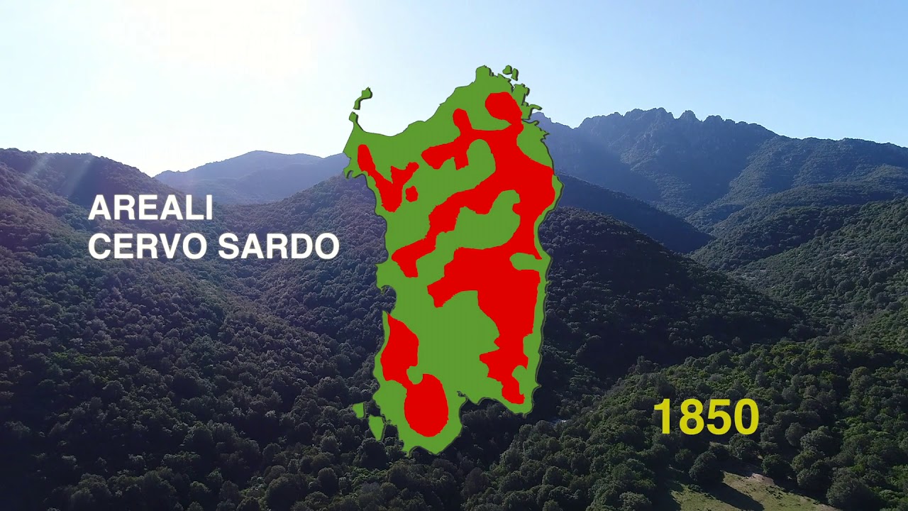 L'Oasi di Monte Arcosu in Sardegna