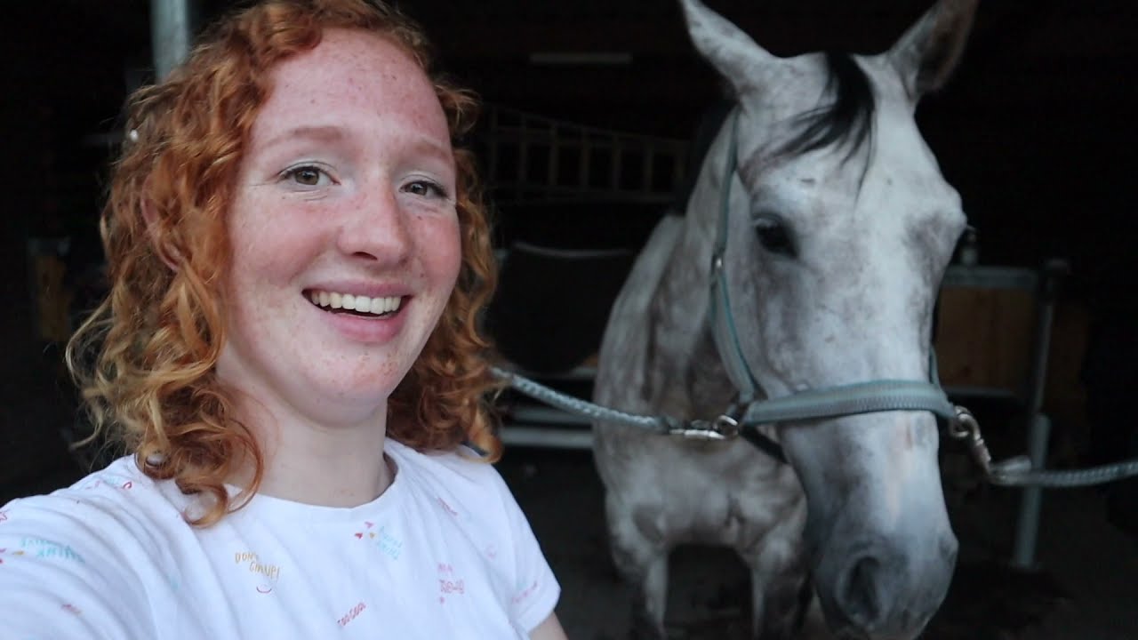 WEER PAARDEN TRAINEN NA WARMTE