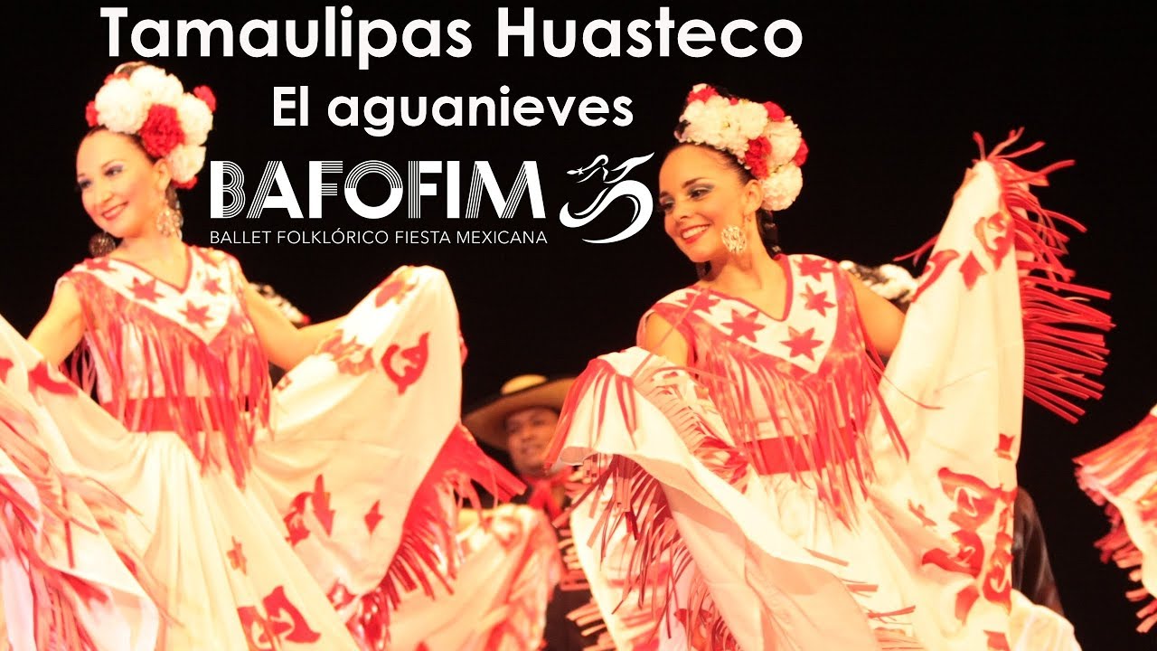 BAFOFIM | Tamaulipas huasteco - El aguanieves