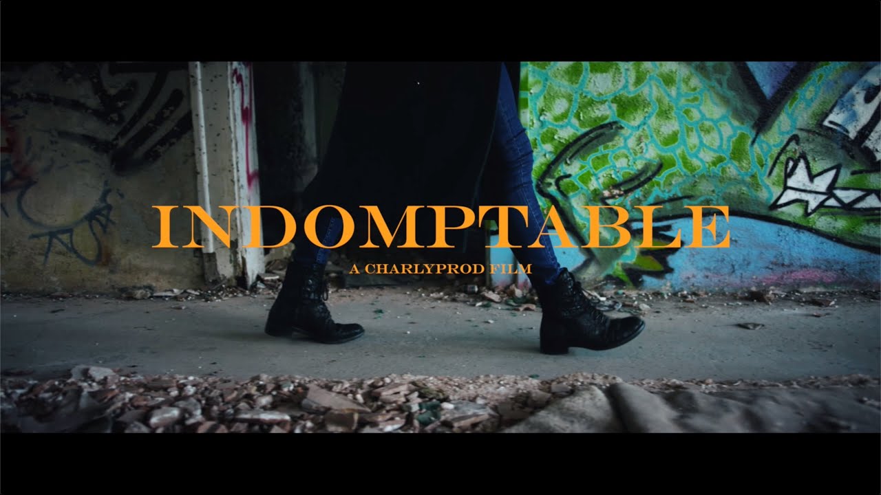 INDOMPTABLE - FORD PUMA ST
