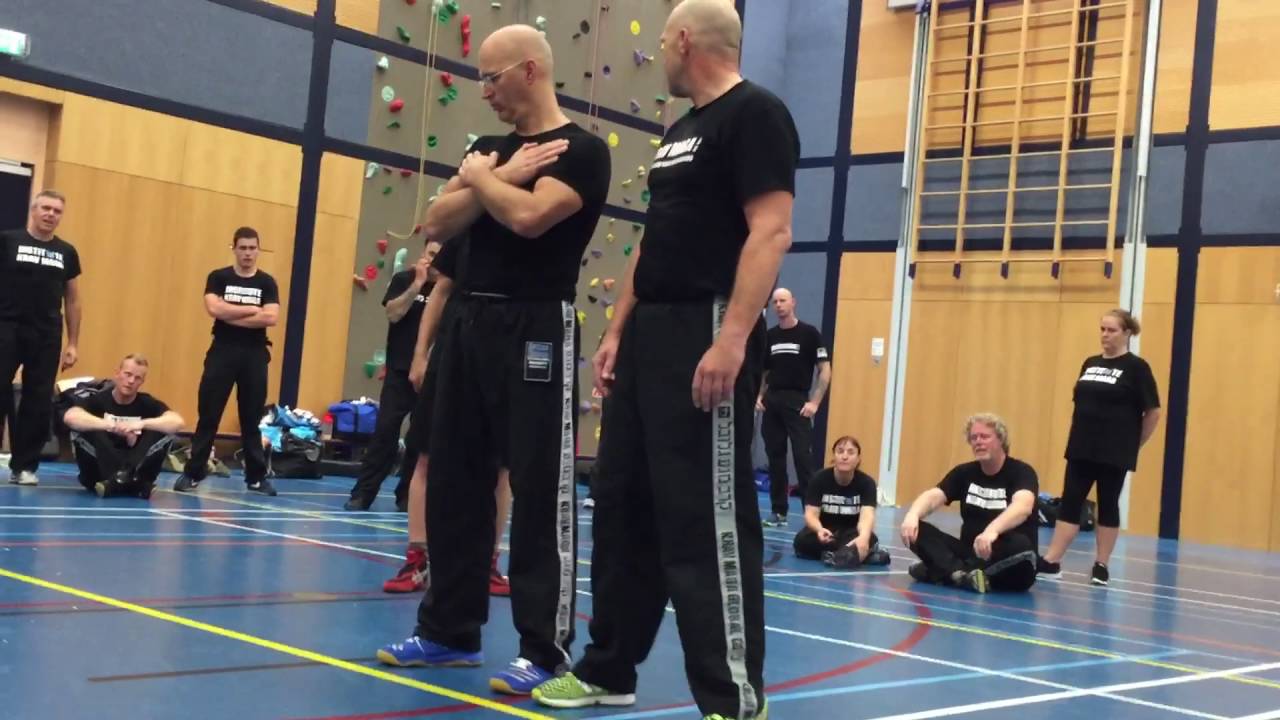 Third Party Protection II with Amnon Darsa at Institute Krav Maga Netherlands.