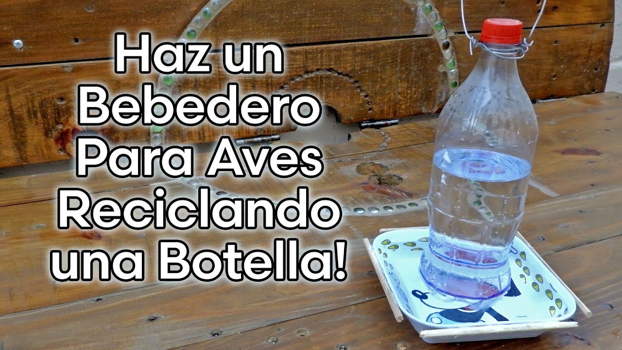 Como Hacer un BEBEDERO PARA AVES AUTOM&Aacute;TICO, RECICLANDO UNA BOTELLA