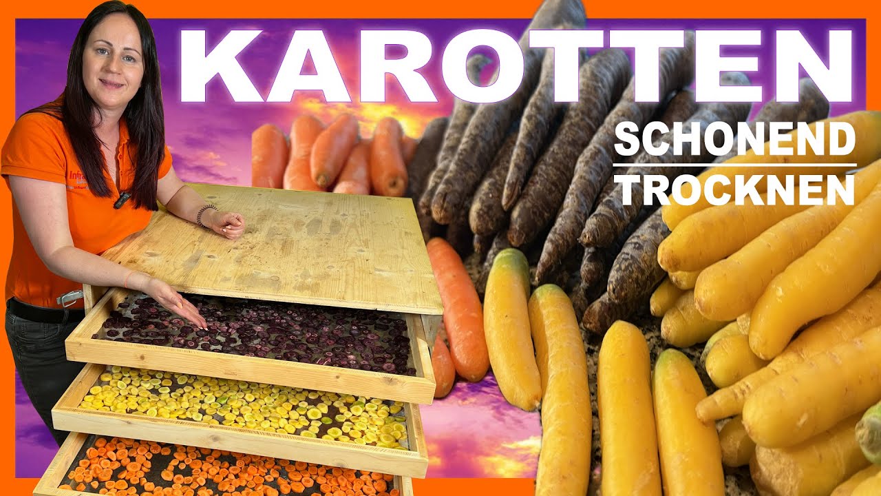 Karotten | Möhren | Gemüse | Schonend trocknen | Vegetarisch | Vegan | Rohkost | Vegi | Ernährung