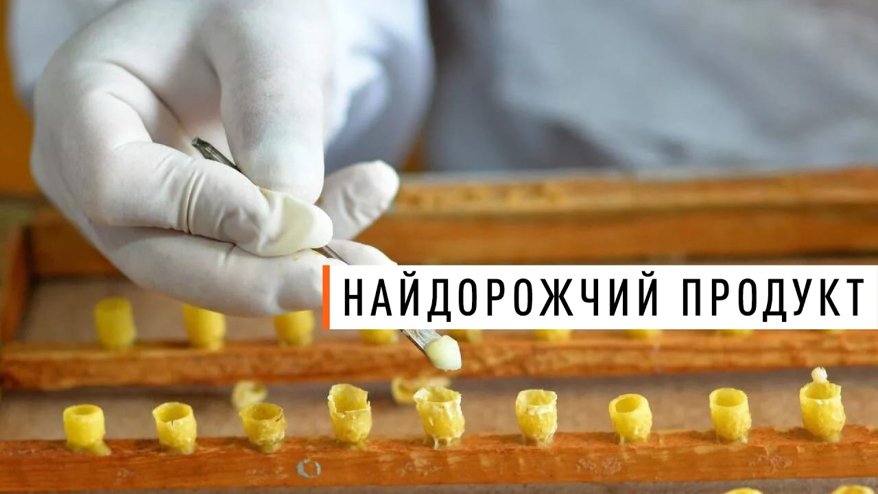 250$ за кілограм маточного молочка! Це дорого чи дешево?
