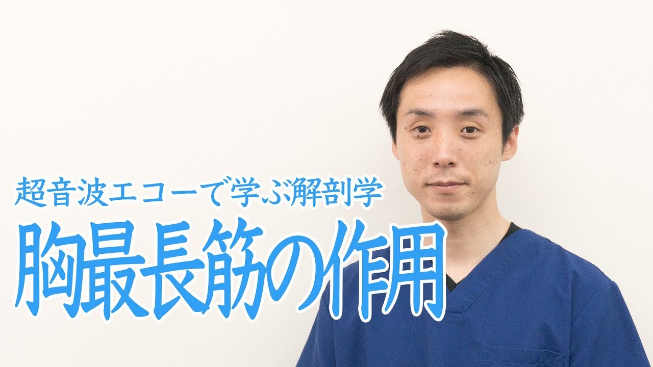 【エコーで学ぶ解剖学】胸最長筋の作用