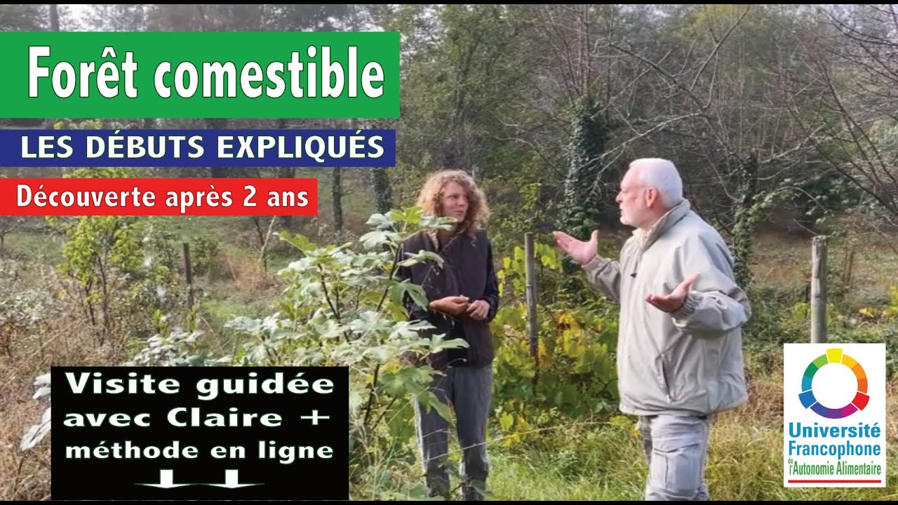 Découvrons une forêt comestible après 2 ans de gestion différenciée