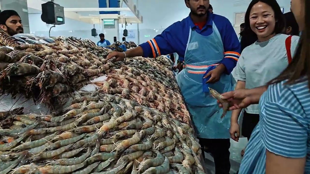 First Time sa Fish Market After 9 Years in Dubai! | Paluto Seafood Galore with Dubai Fam!