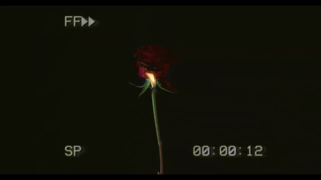 John Waite - missin you (sped up + reverb)