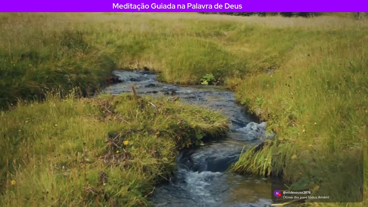 Lembrai Sempre as Maravilhas do Senhor! | Meditação Bíblica da Manhã com o Salmo 104