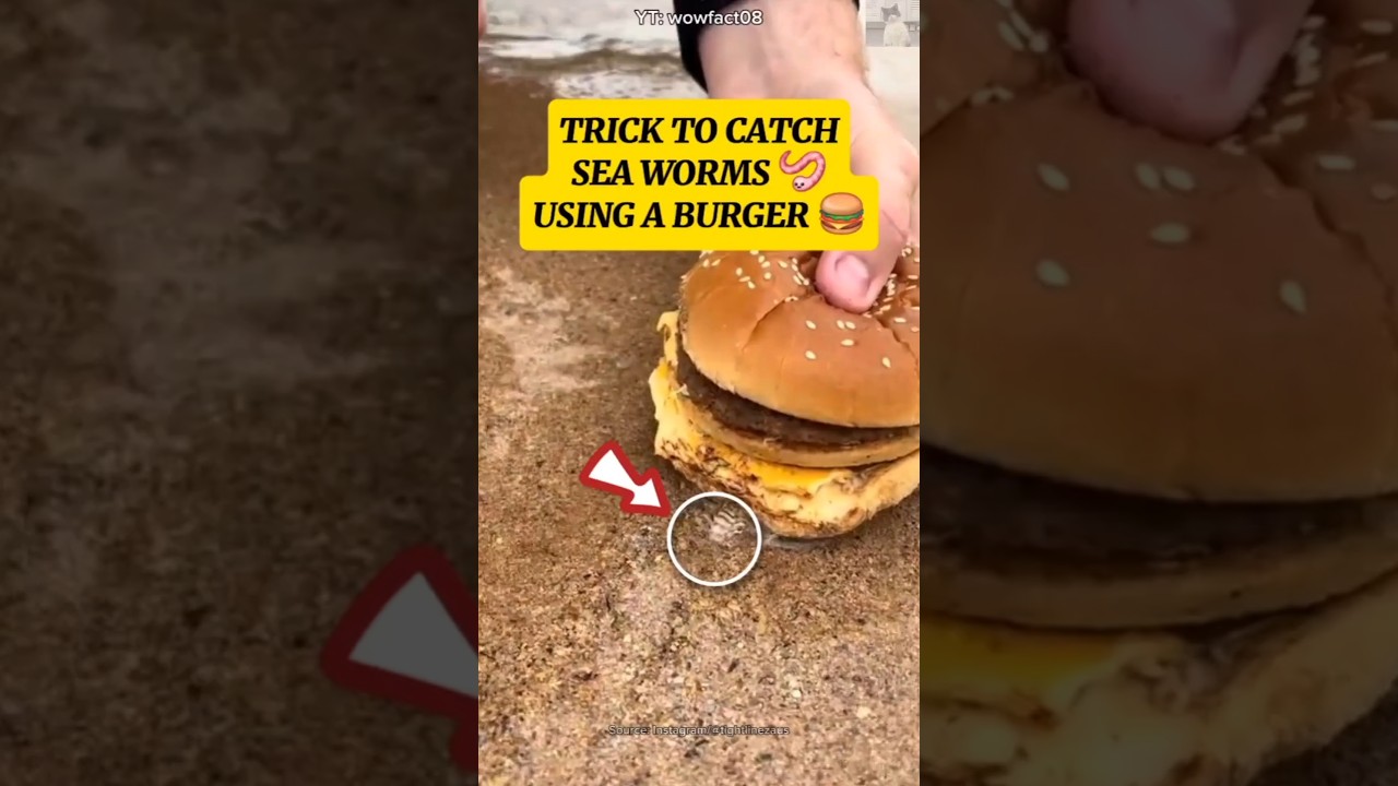 TRICK TO CATCH SEA WORMS 🪱 USING A BURGER 🍔 