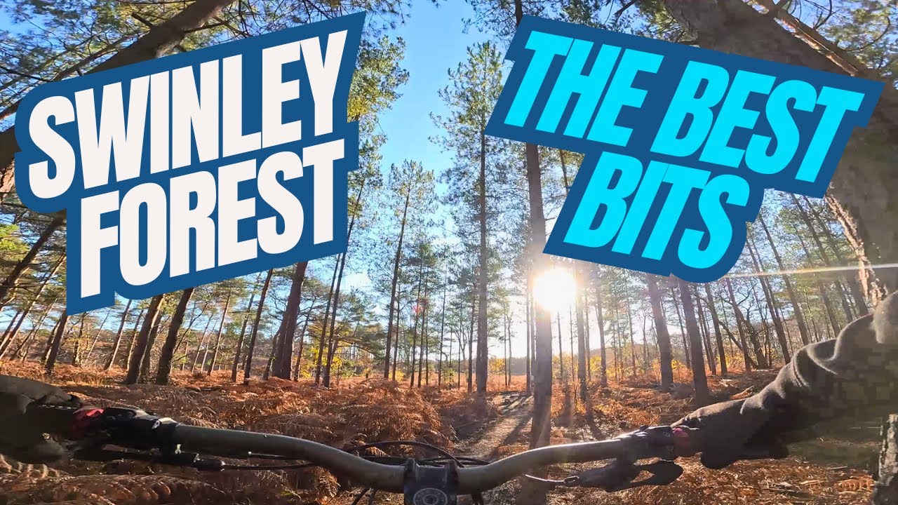 SWINLEY FOREST MTB💥Специальное предложение на канал, набравшее миллион просмотров!!