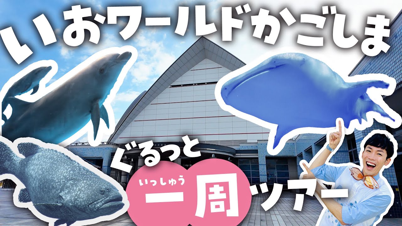 ジンベエザメに会える！いおワールドかごしま水族館を徹底解説ツアー！無料のイルカショーも🦈🐬