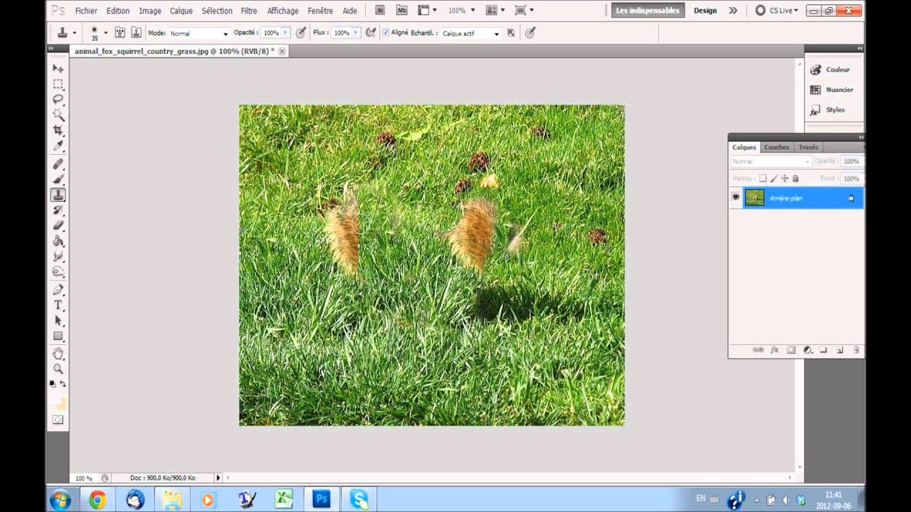 [Photoshop] Le tampon de duplication