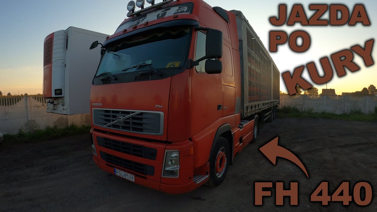Jazda po kury - Volvo FH 440 / Transport żywego drobiu