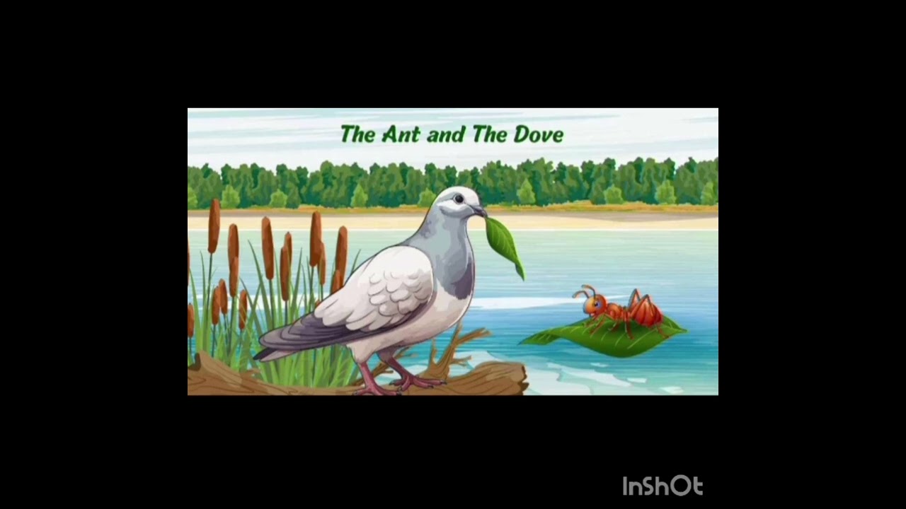 எறும்பும்🫏🫏🐦‍⬛🐦‍⬛புறாவும்❤️👶கதை 💕👶mahadeva❤️அங்கன்வாடி👶❤️###