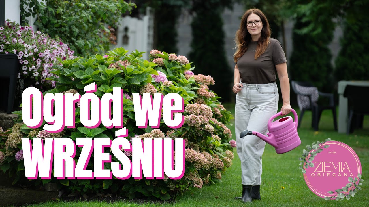 Ogród we WRZEŚNIU