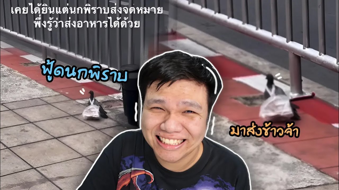 เฉี๊ยบ เฉียบ Ep 295 คู่แข่ง ฟู้ดแพนด้า เขาคือ ฟู้ดนกพิราบ!