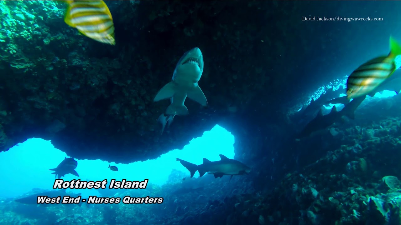 Western Australia. Caves, Sharks, Shipwrecks: Rottnest, Abrolhos, Kimberley, Ningaloo, Coral Bay