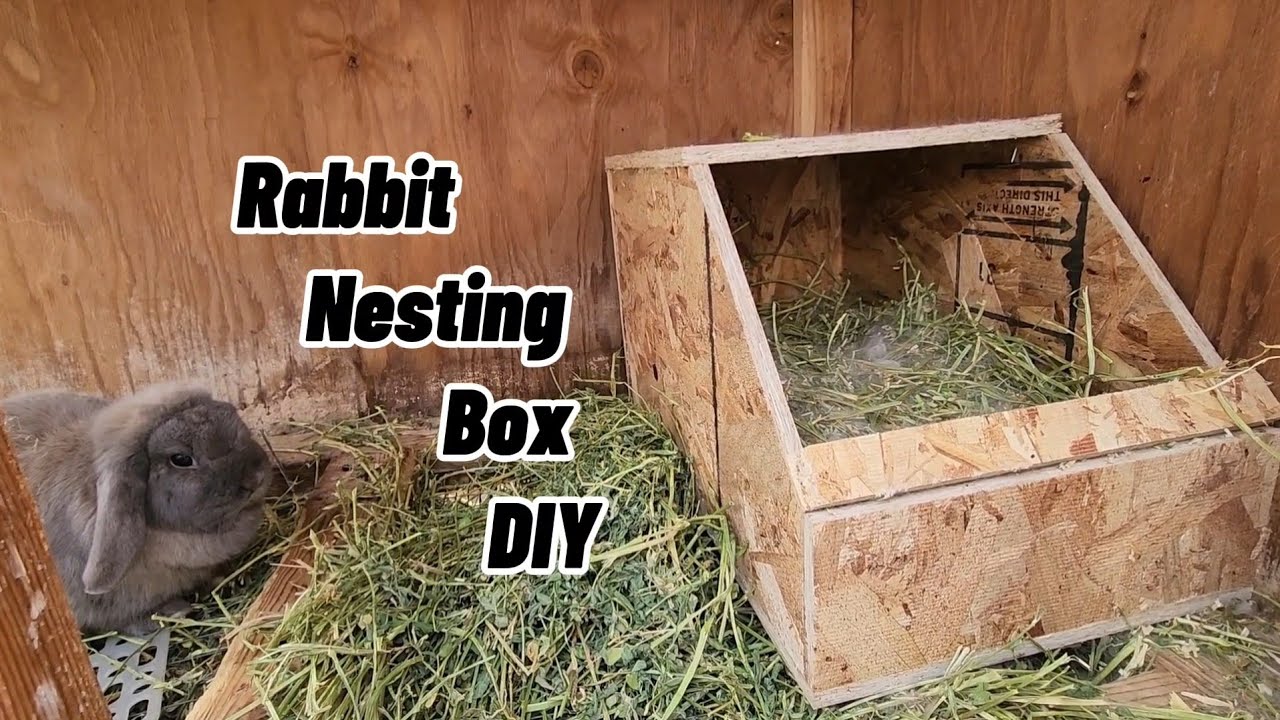 Rabbit Nesting Boxes // DIY // Homesteading