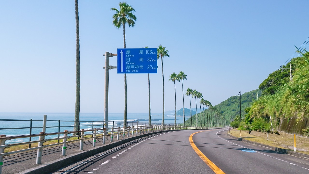 Driving Along Japan's Tropical Coast | Nichinan Phoenix Road Scenic Drive 4K