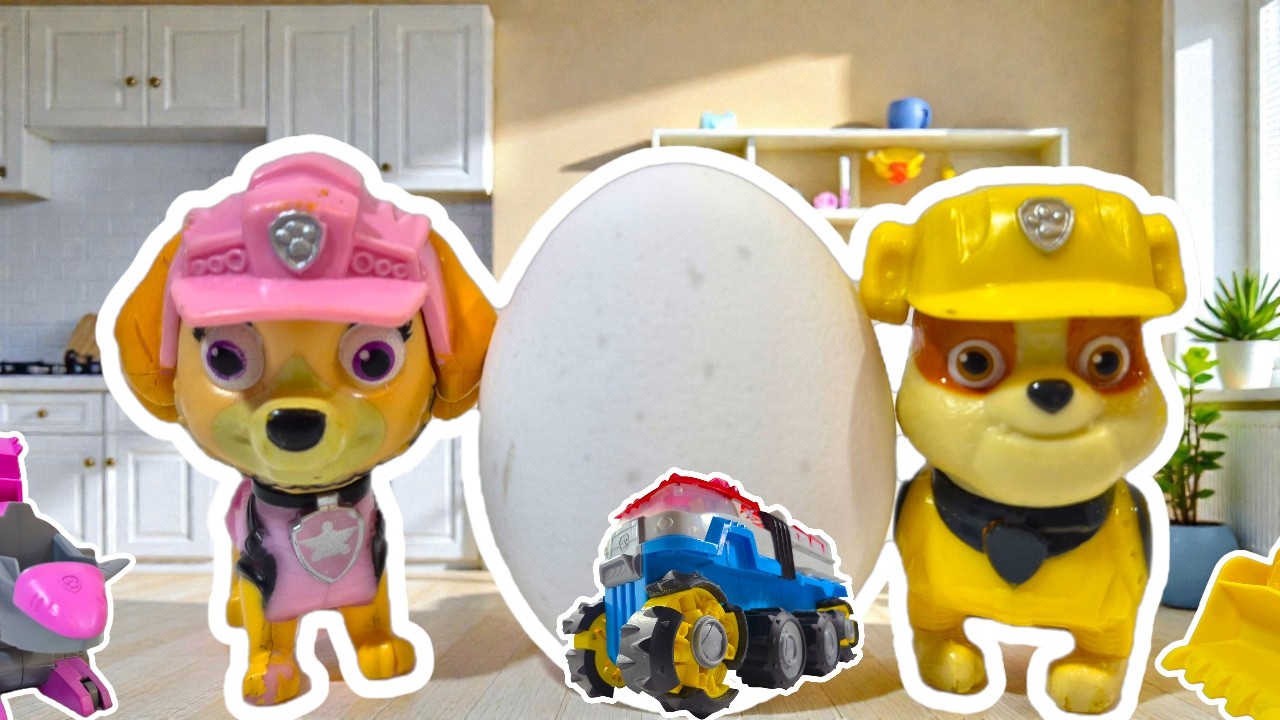 ЩЕНЯЧИЙ ПАТРУЛЬ: Миссия ЯЙЦО! POV PAW Patrol