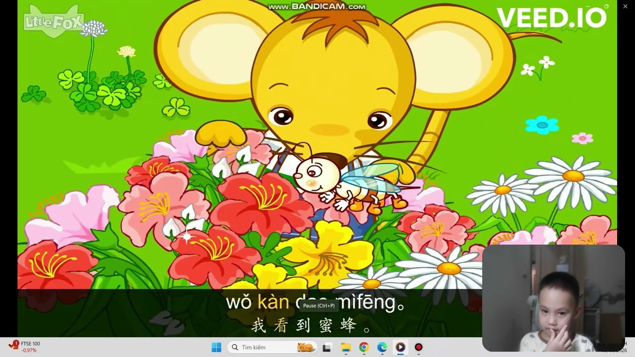 wo kan dao