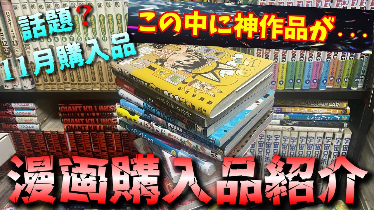 【漫画購入品紹介】この中に神作品あり！11月購入の漫画37冊レビュー【vol.34】