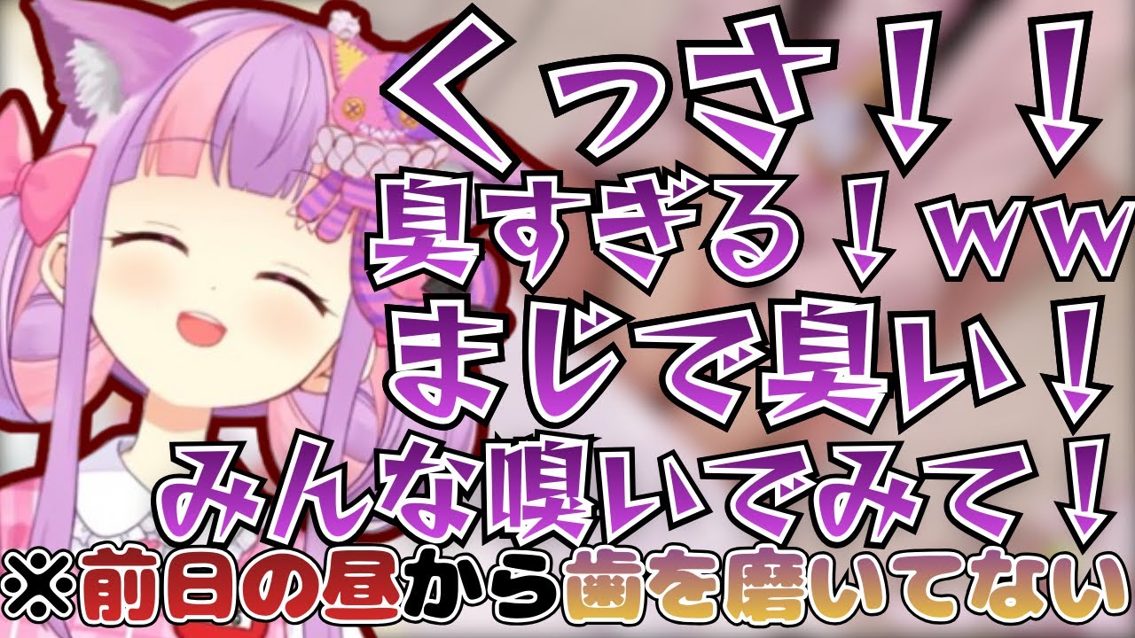 自分の口が臭すぎて爆笑するくるるてんてー【2026/1/28】