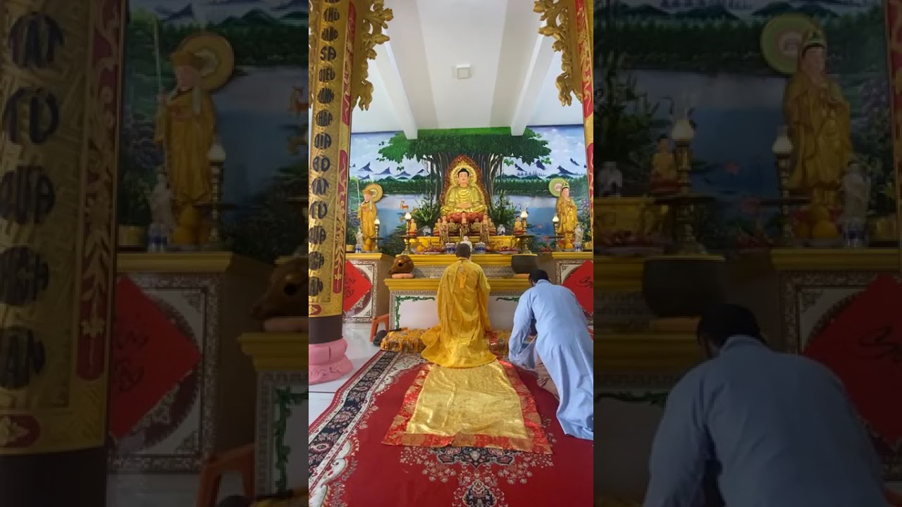 Dạ Nam Mô A Di Đà Phật 